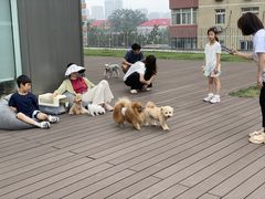 -百好乐宠物友好餐厅(朝外大街店)