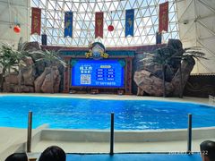 -皇家海洋乐园