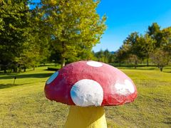 -羊亭河湿地公园