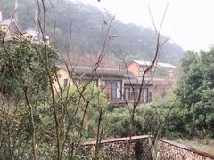 -杭州开元森泊度假乐园