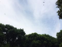 华东疗养院-上海市保健医疗中心(华东疗养院)