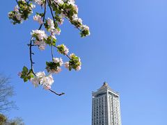 -南通濠河风景名胜区
