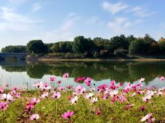 -大兴滨河森林公园