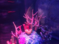 -沈阳海洋探索中心