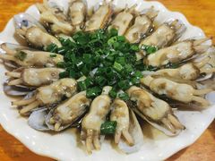 葱油蛏子-温州一家人美食(西木头市店)
