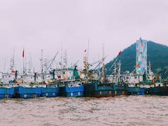 -沈家门渔港