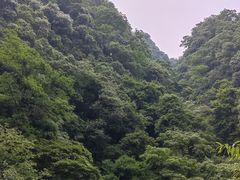 -青城山