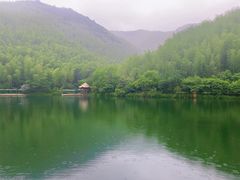 -镇江市南山风景名胜区竹林景区