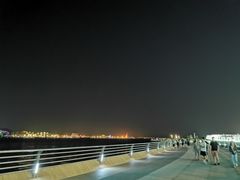 -演武大桥观景平台