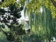 -石家庄市植物园