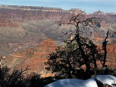 -科罗拉多大峡谷