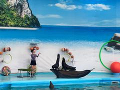 -尼莫海豚馆