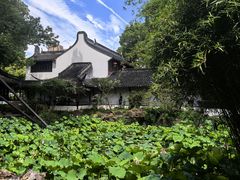 -上海醉白池公园