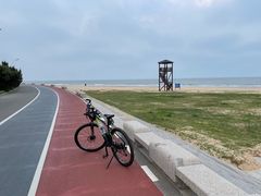 -日照海滨国家森林公园