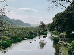 -中国茶叶博物馆(双峰馆区)