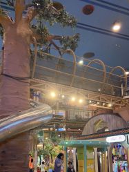 点击看大图 -卡通尼·Safari非洲探索乐园·生日会(金桥国际商业广场店)