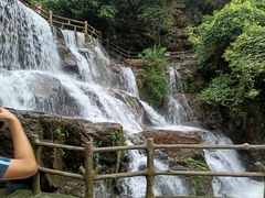-鼎湖山风景区