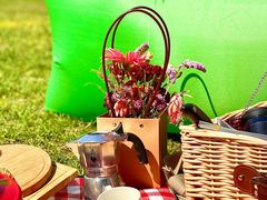 -长白岛森林公园