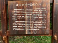 -沙美村