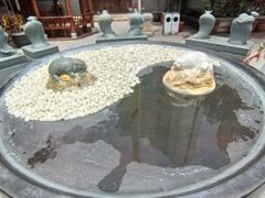 -真庆观