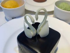 -BLACKSWAN黑天鹅(环球店)