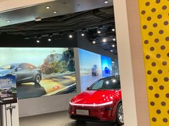 -TESLA 特斯拉(上海太古汇体验店)