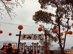 -伴山茶苑·围炉煮茶