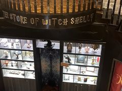-雪灵魔法世界SHELLY’S TAROT(大良桂畔里店)