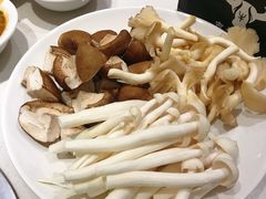 -古乐牛香·鲜牛肉牛杂火锅(新区店)