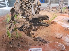 -自贡恐龙博物馆