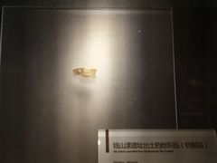 -杭州西湖丝绸文化博物馆