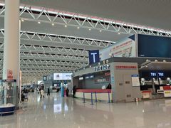 -合肥新桥国际机场-航站楼