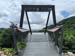 -阳台山森林公园