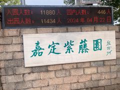 -嘉定紫藤园