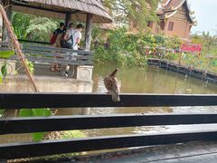 -清迈夜间动物园