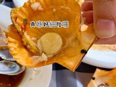 扇贝粉丝-阿妹小海鲜(下角店)