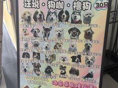 -汪说·狗咖·拼豆·宠物周边DIY(旺城大厦店)
