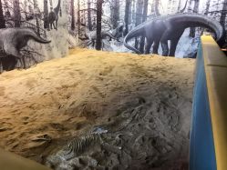 -恐龙探索乐园(磁器口店)