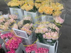 -盒马X会员店(王府井奥莱UP TOWN店)