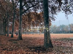 -河南省黄河迎宾馆