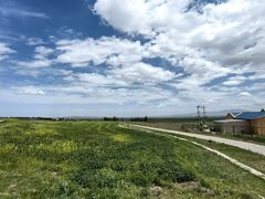 -扁都口生态休闲旅游区