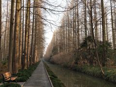 -上海怡沁园度假酒店