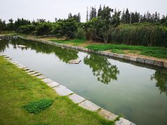 -乌村