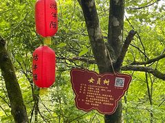 -石台牯牛降景区