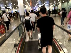 -合肥新桥国际机场-航站楼