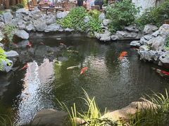-鲤院·新中式美学·庭院餐厅(夫子庙店)