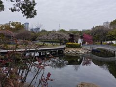 -蠡湖大桥公园