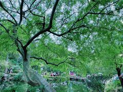 -山塘街