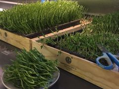 -夫妻肺片·中华老字号·正宗川菜(春熙路店)