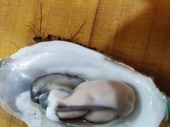 -林记海鲜排档·十年海鲜地标